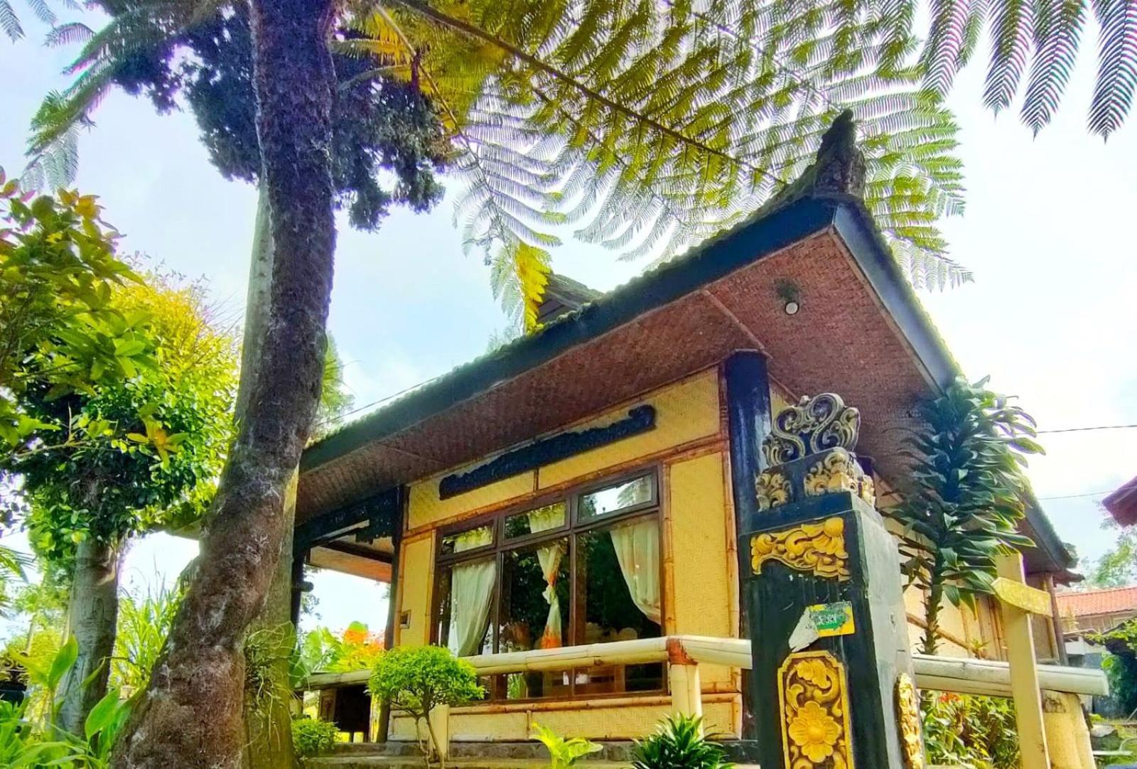 Yoschi'S Hotel Bromo Ngadisari Екстер'єр фото